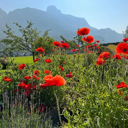 アパート Familie Jaeger Innerbraz